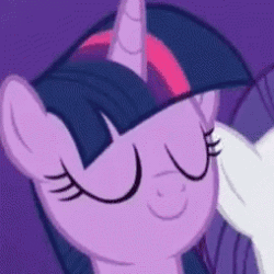 Size: 254x254 | Tagged: safe, derpibooru import, edit, edited screencap, screencap, rarity, twilight sparkle, twilight sparkle (alicorn), alicorn, pony, unicorn, fame and misfortune, animated, cropped, cute, exploitable meme, female, flawless, gif, meme, nope, nope.avi, offscreen character, purple background, simple background, solo focus, text, text edit, we're not flawless