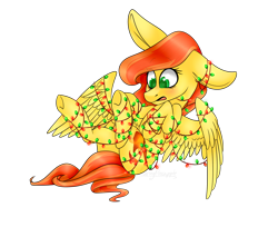 Size: 1538x1258 | Tagged: safe, artist:daringpineapple, derpibooru import, oc, oc only, oc:phoenix feather, pegasus, pony, christmas, christmas lights, female, holiday, simple background, solo, tangled up, transparent background