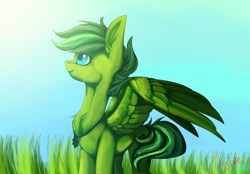 Size: 4320x3000 | Tagged: safe, artist:plushielover, derpibooru import, oc, oc only, oc:evergreen feathersong, pegasus, pony, commission, solo, ych result