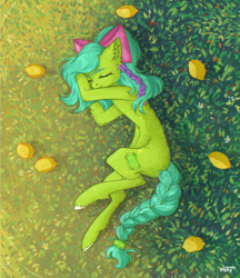 Size: 2536x2941 | Tagged: safe, artist:lovely-pony, derpibooru import, oc, oc:emerald joy, earth pony, pony, bowtie, female, food, grass, lemon, lying, mango, mare, pigtails, signature, sleeping, solo