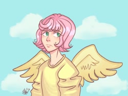 Size: 960x720 | Tagged: safe, artist:sungalaxaa, derpibooru import, butterscotch, fluttershy, human, alternate hairstyle, clothes, cloud, humanized, male, rule 63, shirt, sky, solo, winged humanization, wings
