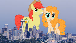 Size: 2600x1500 | Tagged: safe, artist:jhayarr23, artist:theotterpony, derpibooru import, edit, bright mac, pear butter, earth pony, pony, city, cowboy hat, duo, female, freckles, giant earth pony, giant ponies in real life, giant pony, hat, highrise ponies, husband and wife, irl, macro, male, photo, ponies in real life, seattle, stetson, story in the source, story included, vector, vector edit