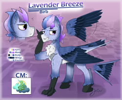 Size: 2853x2344 | Tagged: safe, artist:jesterpi, derpibooru import, oc, oc:lavender breeze, bird, pegasus, abstract background, chest fluff, cutie mark, disembodied head, pegasus oc, phone, redesign, reference sheet, smiling, standing, talons, wings