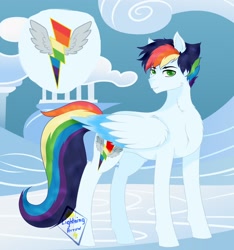 Size: 1500x1600 | Tagged: safe, artist:lightningarrow, derpibooru import, oc, oc only, oc:whizzes wind, pegasus, male, next generation, offspring, parent:rainbow dash, parent:soarin', parents:soarindash, solo, stallion