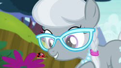 Size: 1280x720 | Tagged: safe, derpibooru import, screencap, silver spoon, earth pony, insect, ladybug, bloom and gloom, female, filly