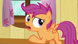 Size: 1280x720 | Tagged: safe, derpibooru import, screencap, scootaloo, pegasus, pony, bloom and gloom, female, filly