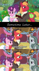 Size: 1280x2336 | Tagged: safe, anonymous artist, derpibooru import, big macintosh, marble pie, sugar belle, the big mac question, acceptance, aftermath, apple, apple tree, approval, barn, best wishes, better as friends, bittersweet, captions, clothes, congratulations, dress, epilogue, fanfic idea, female, food, friends, friendship, friendshipping, good end, happy, hat, headcanon, hope, husband and wife, i want my beloved to be happy, i wish you love, intertwined trees, just friends, looking at each other, lyrics in the description, male, marriage, married couple, moving on, party, pear, pear tree, ship sinking, shipping, shirt, smiling, song reference, straight, sugarmac, suit, thanks, tree, vest, wedding, wedding dress, youtube link, youtube link in the description
