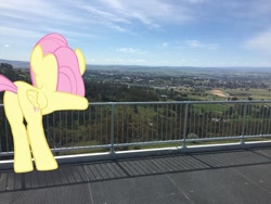 Size: 1280x960 | Tagged: safe, artist:didgereethebrony, derpibooru import, fluttershy, pegasus, pony, bathurst, butt, flutterbutt, irl, leaning on fence, lookout, mlp in australia, mount panorama, photo, plot, ponies in real life, solo