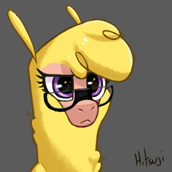 Size: 2000x2000 | Tagged: safe, artist:hitsuji, derpibooru import, paprika paca, alpaca, them's fightin' herds, community related, eyewear, glasses, gray background, purple eyes, serious, serious face, simple background, solo