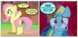 Size: 868x426 | Tagged: safe, artist:dziadek1990, derpibooru import, edit, edited screencap, screencap, fluttershy, rainbow dash, tank, pegasus, pony, 28 pranks later, sounds of silence, comic, conversation, dialogue, offscreen character, oh crap, oh shit, oops, screencap comic, slice of life, text, this will end in death
