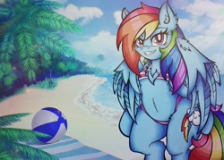 Size: 2048x1463 | Tagged: safe, artist:canvymamamoo, rainbow dash, anthro, pegasus, beach, beach ball, beach towel, belly button, blushing, breasts, clothes, cloud, ear fluff, female, looking at you, mare, palm tree, smiling, solo, swimsuit, tree