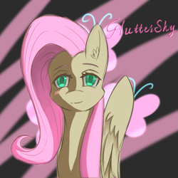 Size: 1063x1063 | Tagged: source needed, safe, artist:eric0999, derpibooru import, fluttershy, pegasus, pony, bust, cutie mark background, ear fluff, female, full face view, looking at you, mare, name, portrait, solo, wings