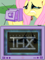 Size: 800x1080 | Tagged: safe, derpibooru import, edit, boulder (pet), fluttershy, pegasus, pony, bleeding ears, blood, crying, dark eyes, exploitable meme, female, hoof hold, meme, obligatory pony, reflection, root beer, simple background, television, thx, tv meme