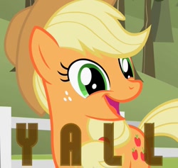 Size: 759x720 | Tagged: artist needed, source needed, safe, derpibooru import, edit, applejack, earth pony, pony, cute, jackabetes, open mouth, smiling, solo, text, when she smiles, y'all
