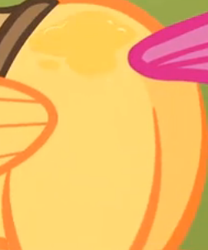 Size: 252x303 | Tagged: safe, derpibooru import, screencap, scootaloo, butt, butt only, plot, scootabutt