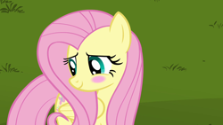 Size: 1280x720 | Tagged: safe, derpibooru import, screencap, fluttershy, pegasus, pony, keep calm and flutter on, blushing, cute, female, mare, shyabetes, solo