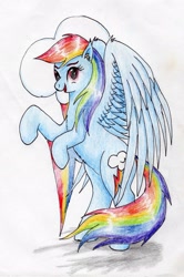 Size: 1915x2879 | Tagged: safe, artist:40kponyguy, derpibooru exclusive, derpibooru import, rainbow dash, pegasus, pony, bipedal, cutie mark background, ear fluff, female, looking at you, mare, rearing, simple background, solo, spread wings, traditional art, wings