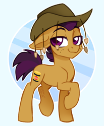 Size: 1605x1947 | Tagged: safe, artist:sickly-sour, derpibooru import, oc, oc only, oc:vegemite, earth pony, pony, australia, bruce, colored, colored pupils, cork hat, cutie mark, earth pony oc, freckles, hat, male, simple background, smug, stallion