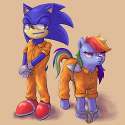 Size: 1280x1280 | Tagged: safe, artist:catmom2020, derpibooru import, bound wings, chained, clothes, cuffs, duo, frustrated, prison outfit, prisoner rd, smiling, smirk, sonic the hedgehog, sonic the hedgehog (series), wings