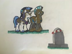 Size: 4032x3024 | Tagged: safe, artist:magicnova, derpibooru exclusive, derpibooru import, shining armor, pony, unicorn, armor, flower, gravestone, male, remembrance day, royal guard, royal guard armor, stallion, traditional art