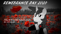 Size: 3840x2160 | Tagged: safe, artist:ejlightning007arts, derpibooru import, oc, oc only, oc:ej, alicorn, pony, alicorn oc, clothes, folded wings, high res, horn, limited palette, male, poppy, remembrance day, sad, solo, stallion, vest, wallpaper, wings