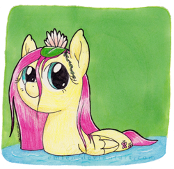 Size: 800x781 | Tagged: safe, artist:emfen, derpibooru import, fluttershy, pegasus, pony, behaving like a bird, cute, female, flower, flower in hair, folded wings, lilypad, looking at you, mare, pond, shyabetes, smiling, solo, stray strand, three quarter view, traditional art, water, water lily, wet, wet mane, wings
