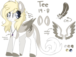 Size: 2224x1668 | Tagged: safe, artist:cinnamontee, derpibooru import, oc, oc:tegan, pegasus, pony, female, mare, reference sheet, simple background, solo, transparent background, two toned wings, wings