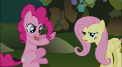 Size: 496x271 | Tagged: safe, derpibooru import, screencap, fluttershy, pinkie pie, earth pony, pegasus, pony, bridle gossip, cropped, duo, everfree forest, evil enchantress, flutterguy, fluttershy is not amused, polka dots, sitting, spitty pie, tongue out, unamused