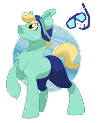 Size: 1200x1500 | Tagged: safe, artist:itstaylor-made, derpibooru import, oc, oc only, oc:free style, earth pony, pony, clothes, male, shorts, simple background, solo, stallion, transparent background