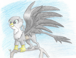 Size: 2119x1638 | Tagged: safe, artist:goldenflow, derpibooru import, gabby, griffon, bag, beak, branches, colored pencil drawing, female, happy, leonine tail, paws, sky, solo, spread wings, talons, traditional art, tree, wings