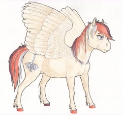 Size: 6320x5950 | Tagged: safe, artist:lady-limule, derpibooru import, oc, oc only, pegasus, pony, colored hooves, female, mare, pegasus oc, simple background, solo, traditional art, white background, wings