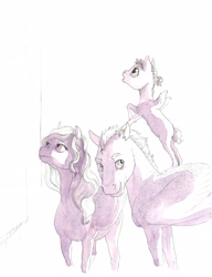 Size: 4770x6218 | Tagged: safe, artist:lady-limule, derpibooru import, oc, oc only, oc:silver fang, pegasus, pony, female, filly, looking up, male, mare, pegasus oc, stallion, traditional art, wings