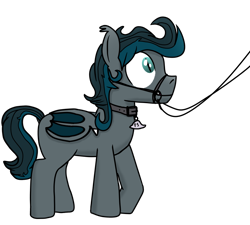 Size: 1000x900 | Tagged: artist needed, safe, derpibooru import, oc, oc only, oc:flying saucer, bat pony, bat pony oc, bat wings, bridle, collar, male, pet tag, simple background, solo, stallion, tack, transparent background, wings