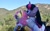 Size: 1441x903 | Tagged: safe, artist:joltage, derpibooru import, fluttershy, twilight sparkle, twilight sparkle (alicorn), alicorn, pegasus, pony, clothes, coffee, coffee cup, cuddling, cup, female, lesbian, mountain, mountain range, nature, nug, outdoors, plushie, rainbow, robe, shipping, sky, tree, twishy