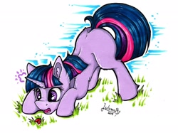 Size: 1920x1439 | Tagged: safe, artist:julunis14, derpibooru import, twilight sparkle, unicorn twilight, insect, ladybug, pony, unicorn, bent over, blank flank, cute, face down ass up, female, filly, filly twilight sparkle, grass, high res, markers, signature, solo, traditional art, twiabetes, twilight hates ladybugs, younger