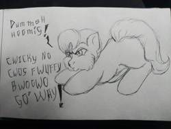 Size: 4160x3120 | Tagged: safe, artist:munstafoal, derpibooru import, earth pony, fluffy pony, face down ass up, fluffy, pencil drawing, solo, traditional art
