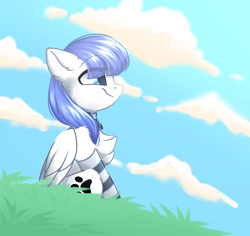 Size: 3428x3235 | Tagged: safe, artist:koro-megasaki-andro4, derpibooru import, oc, oc only, oc:snow pup, pegasus, pony, chest fluff, clothes, cloud, cloudy, collar, commission, eye clipping through hair, female, grass, happy, hill, mare, pegasus oc, pet tag, side view, sitting, smiling, socks, solo, striped socks, sunny day, wings, ych result