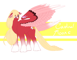 Size: 1010x787 | Tagged: safe, artist:minikitty101, derpibooru import, oc, oc only, oc:cardinal moon, butterfly, pegasus, pony, femboy, large wings, magical gay spawn, male, offspring, parent:big macintosh, parent:zephyr breeze, parents:zephyrmac, solo, stallion, wings