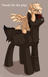 Size: 352x563 | Tagged: safe, artist:tigra0118, derpibooru import, oc, pegasus, pony, digital art, my little pony, pixel art, present, standing