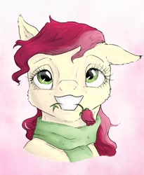 Size: 1024x1249 | Tagged: safe, artist:rachelmacready, derpibooru import, roseluck, earth pony, pony, bust, clothes, flower, flower in mouth, mixed media, mouth hold, rose, rose in mouth, scarf, simple background, solo