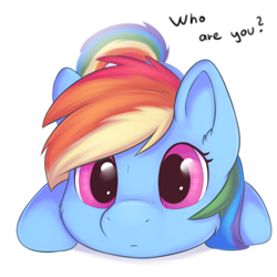 Size: 1024x1024 | Tagged: safe, artist:dbleki, derpibooru import, rainbow dash, pegasus, pony, curious, cute, dashabetes, dbleki is trying to murder us, female, looking at you, redraw, simple background, solo, text, weapons-grade cute, white background