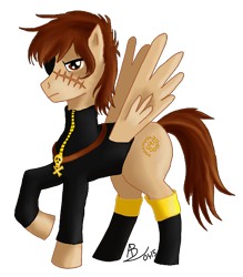 Size: 526x600 | Tagged: artist needed, safe, derpibooru import, pegasus, pony, captain harlock, ponified, simple background, solo, transparent background