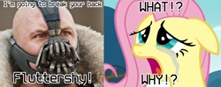 Size: 3846x1528 | Tagged: safe, derpibooru import, edit, edited screencap, screencap, fluttershy, pegasus, pony, hurricane fluttershy, abuse, bane, batman, crossover, crying, flutterbuse, mad max