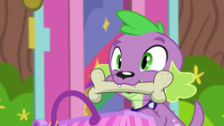 Size: 1920x1080 | Tagged: safe, derpibooru import, screencap, spike, spike the regular dog, dog, equestria girls, equestria girls series, the road less scheduled, spoiler:eqg series (season 2), bone, dogs doing dog things, mouth hold, solo