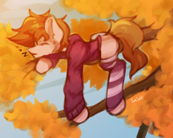 Size: 2520x2020 | Tagged: safe, artist:jackselit, derpibooru import, oc, oc only, oc:stuben, earth pony, pony, autumn, clothes, hoodie, onomatopoeia, sleeping, socks, solo, sound effects, striped socks, tree, tree branch, zzz