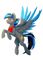 Size: 2150x3000 | Tagged: safe, artist:redheartponiesfan, derpibooru import, oc, oc:sky shoot, pegasus, pony, male, simple background, solo, stallion, transparent background, two toned wings, wings