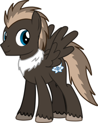 Size: 2940x3694 | Tagged: safe, artist:feathertrap, oc, oc:littlewing, pegasus, pony, 1000 hours in gimp, fur collar, male, simple background, solo, stallion, transparent background, unshorn fetlocks, vector, wings