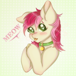 Size: 900x900 | Tagged: safe, artist:saltyvity, derpibooru import, roseluck, earth pony, pony, behaving like a cat, blushing, collar, female, mare, pony pet, rosepet, solo, tongue out