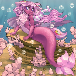 Size: 2000x2000 | Tagged: safe, artist:pony straponi, derpibooru import, oc, oc only, mermaid, bubble, chest fluff, cliff, clothes, commission, coral, female, mermaid tail, mermaidized, sand, scarf, solo, species swap, water, ych result