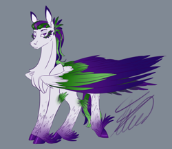 Size: 2300x2000 | Tagged: safe, artist:crystalcontemplator, derpibooru import, oc, oc only, pegasus, pony, chest fluff, colored hooves, feathered fetlocks, gray background, pegasus oc, signature, simple background, solo, unshorn fetlocks, wings